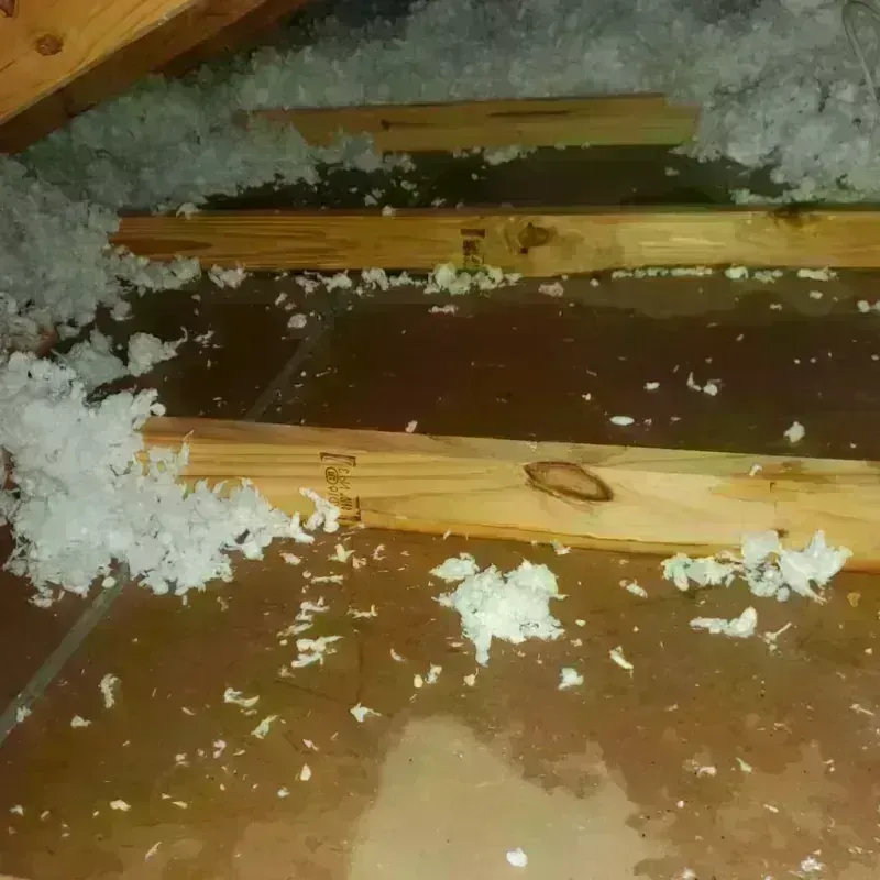 Attic Water Damage in Panguitch, UT